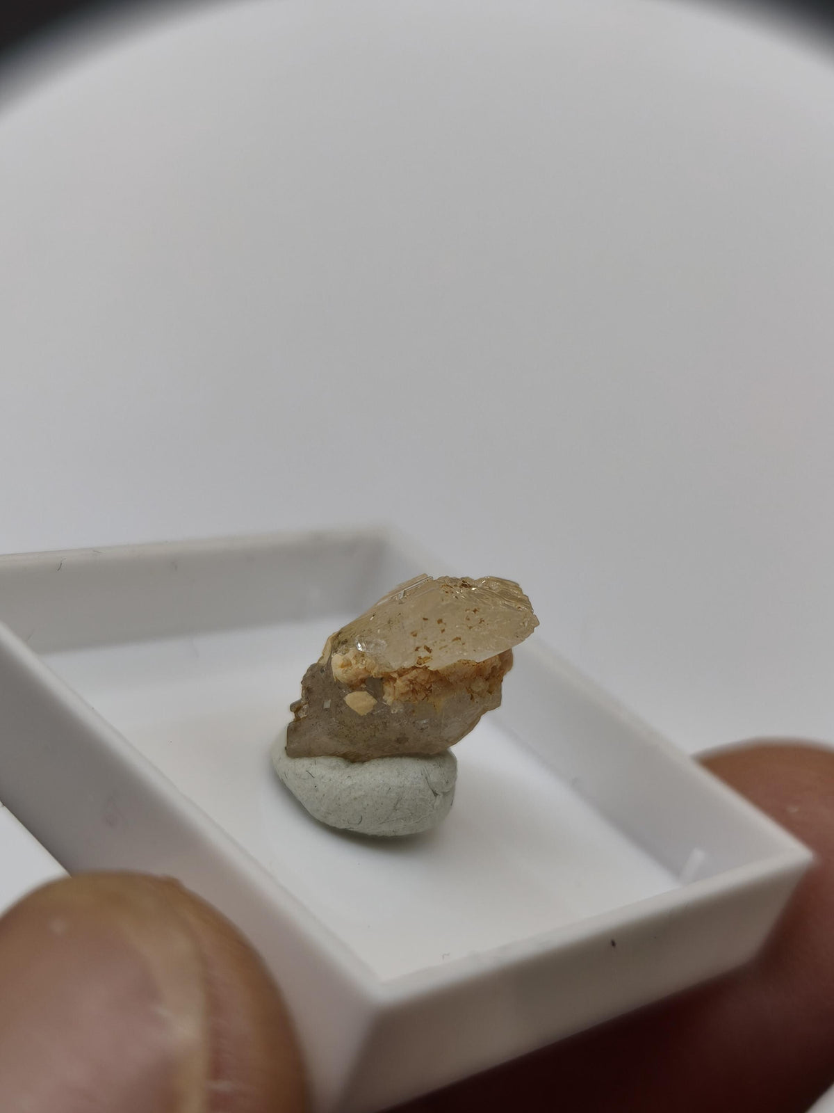 4,5ct Phenakit Kristall aus Namibia | Stiepelmann Mine Erongo | Klarer natürlicher Rohkristall | Seltenes Sammler Mineral Heilstein Rarität