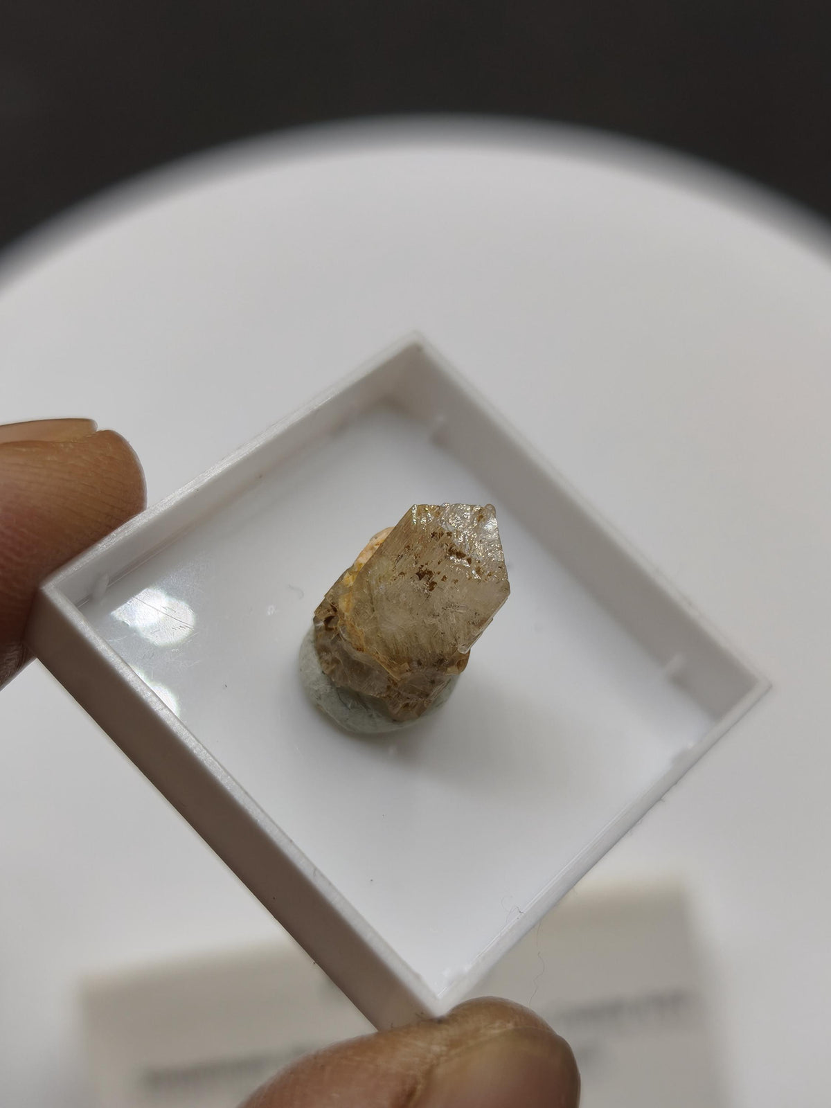 4,5ct Phenakit Kristall aus Namibia | Stiepelmann Mine Erongo | Klarer natürlicher Rohkristall | Seltenes Sammler Mineral Heilstein Rarität