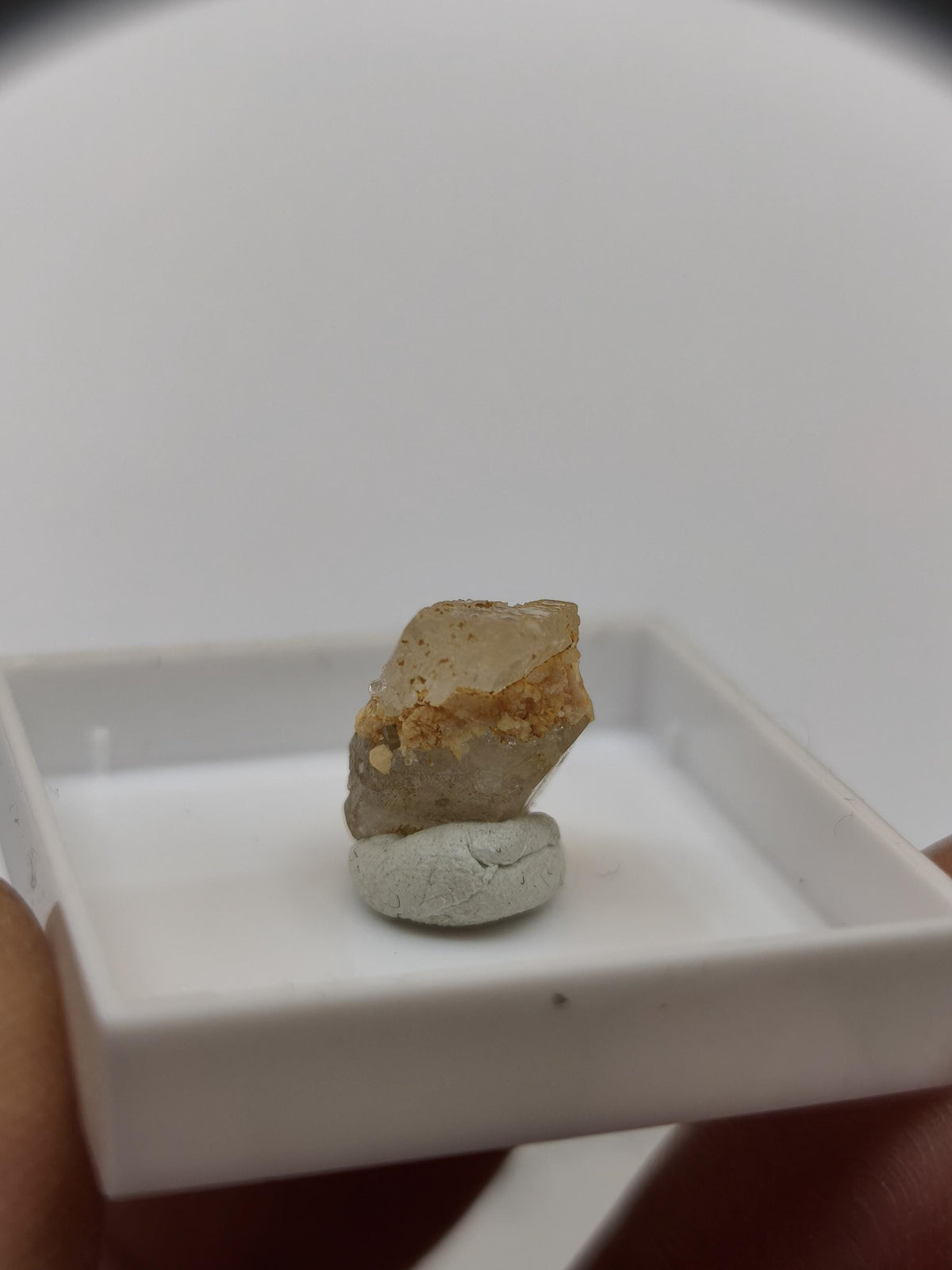 4,5ct Phenakit Kristall aus Namibia | Stiepelmann Mine Erongo | Klarer natürlicher Rohkristall | Seltenes Sammler Mineral Heilstein Rarität