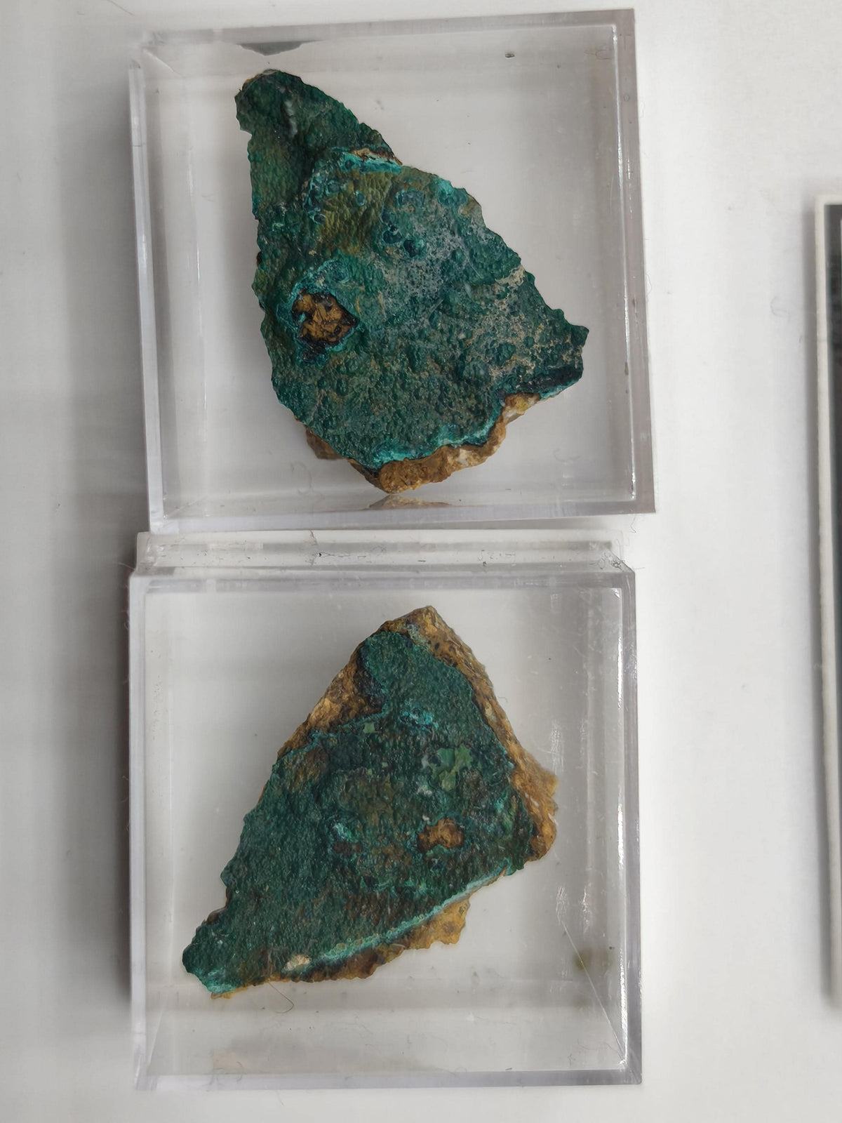 Chrysokoll Springbok Südafrika | Natürliches Sammlermineral | Muster 1 oder 2 Kristall Sammler roh Mineralien Geschenk