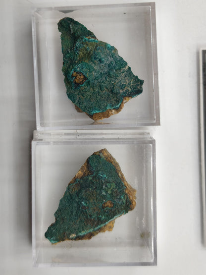 Chrysokoll Springbok Südafrika | Natürliches Sammlermineral | Muster 1 oder 2 Kristall Sammler roh Mineralien Geschenk