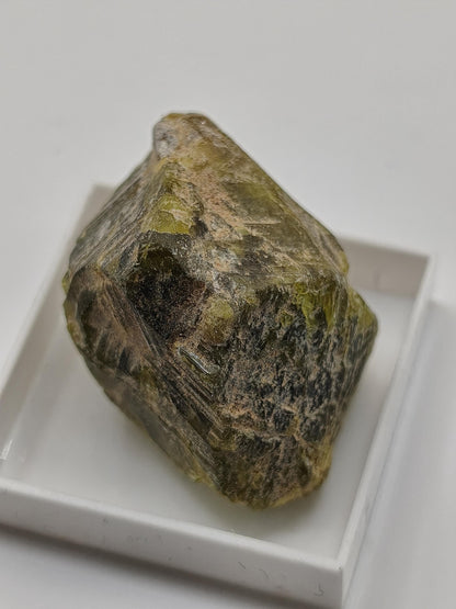 Grüner Beryll Rohkristall 30 mm | Olivgrüner Naturkristall | Seltenes Sammlermineral | Unikat Naturmineral Sammlerstück Selten Kristall