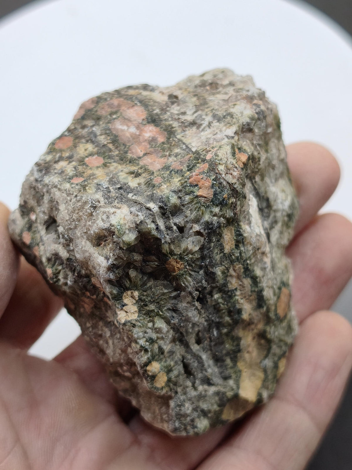 8 Vein Ocean Jasper orbicular raw specimen stone rarity natural healing stone decor crystal gift him her man woman house energy rare collector