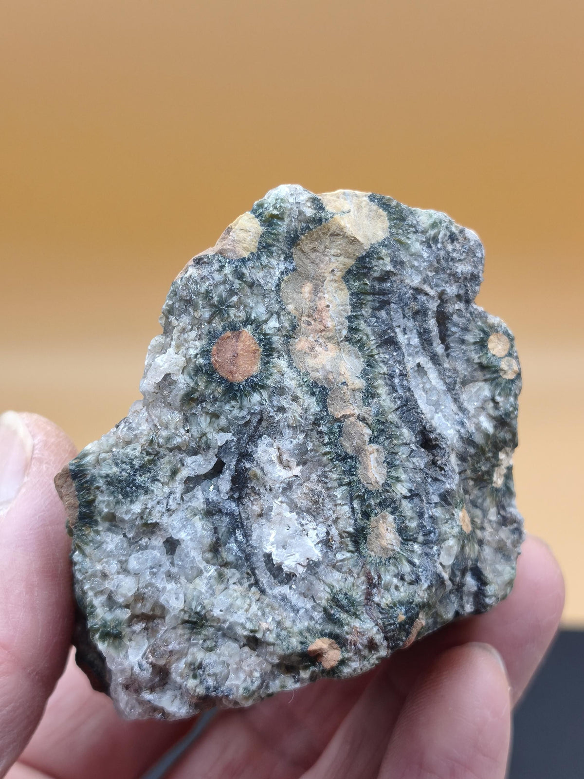 8 Vein Ocean Jasper orbicular raw specimen stone rarity natural healing stone decor crystal gift him her man woman house energy rare collector