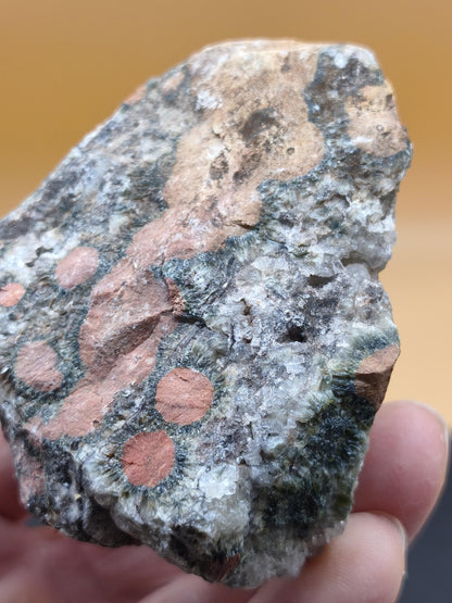 8 Vein Ocean Jasper orbicular raw specimen stone rarity natural healing stone decor crystal gift him her man woman house energy rare collector