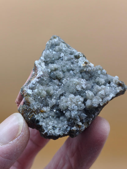 8 Vein Ocean Jasper orbicular raw specimen stone rarity natural healing stone decor crystal gift him her man woman house energy rare collector