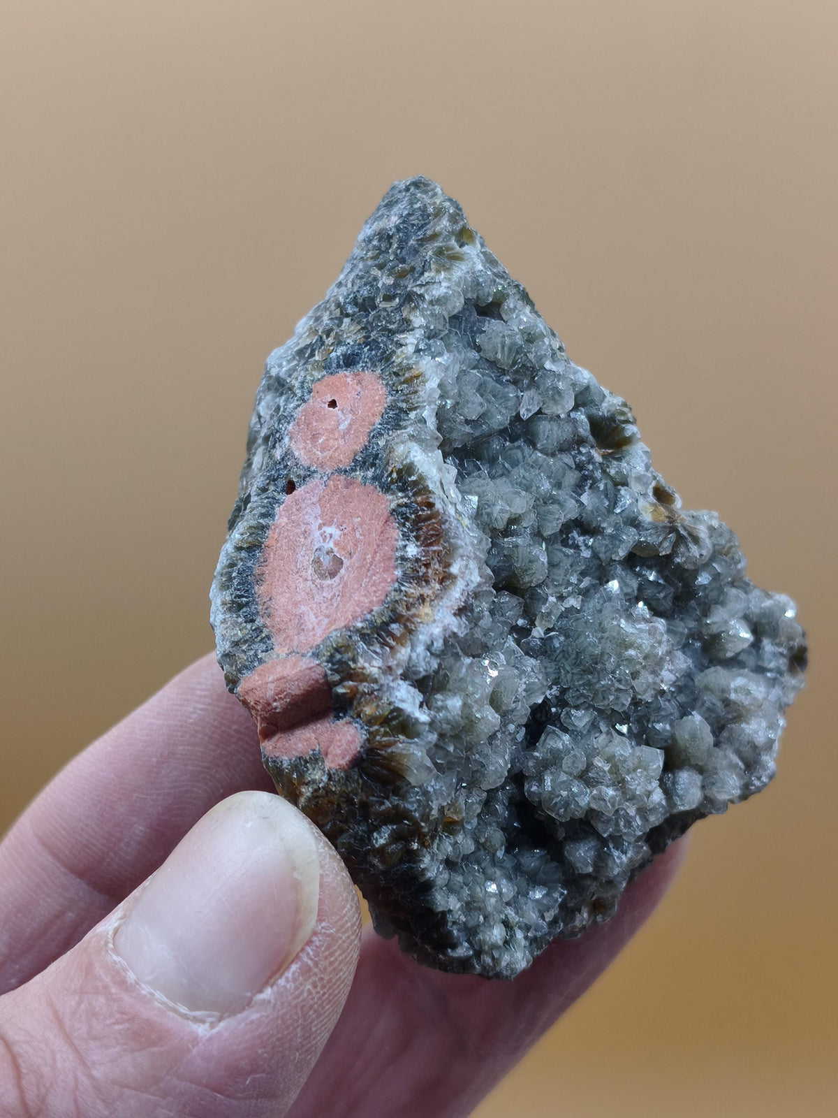 8 Vein Ocean Jasper orbicular raw specimen stone rarity natural healing stone decor crystal gift him her man woman house energy rare collector