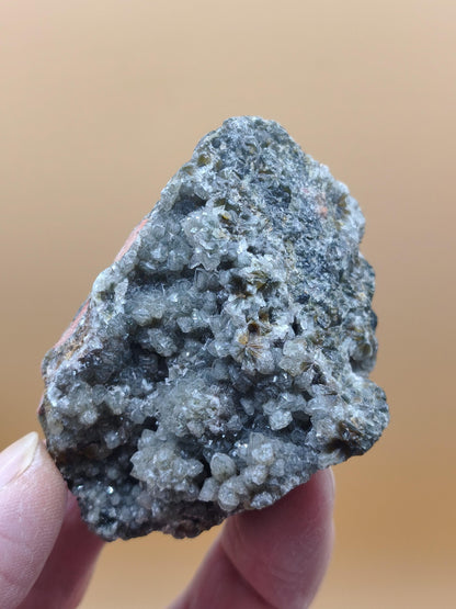 8 Vein Ocean Jasper orbicular raw specimen stone rarity natural healing stone decor crystal gift him her man woman house energy rare collector