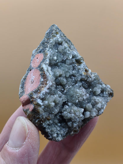 8 Vein Ocean Jasper orbicular raw specimen stone rarity natural healing stone decor crystal gift him her man woman house energy rare collector