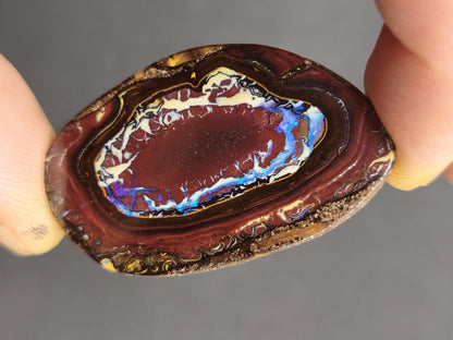 Boulder Opal Nuss AAA Sammlerstein Mineralien Kristalle Cabochon natürlich Heilstein Rarität Muster Australien Queensland