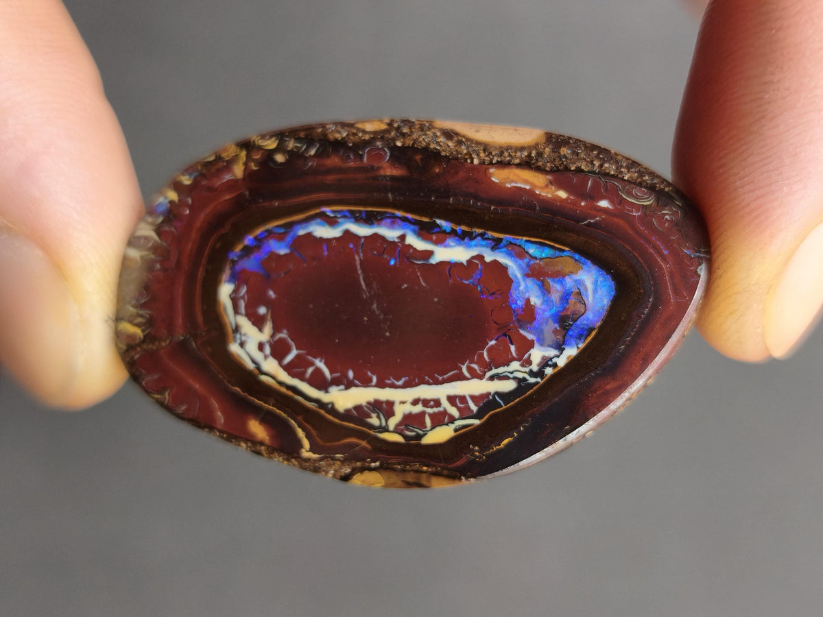Boulder Opal Nuss AAA Sammlerstein Mineralien Kristalle Cabochon natürlich Heilstein Rarität Muster Australien Queensland