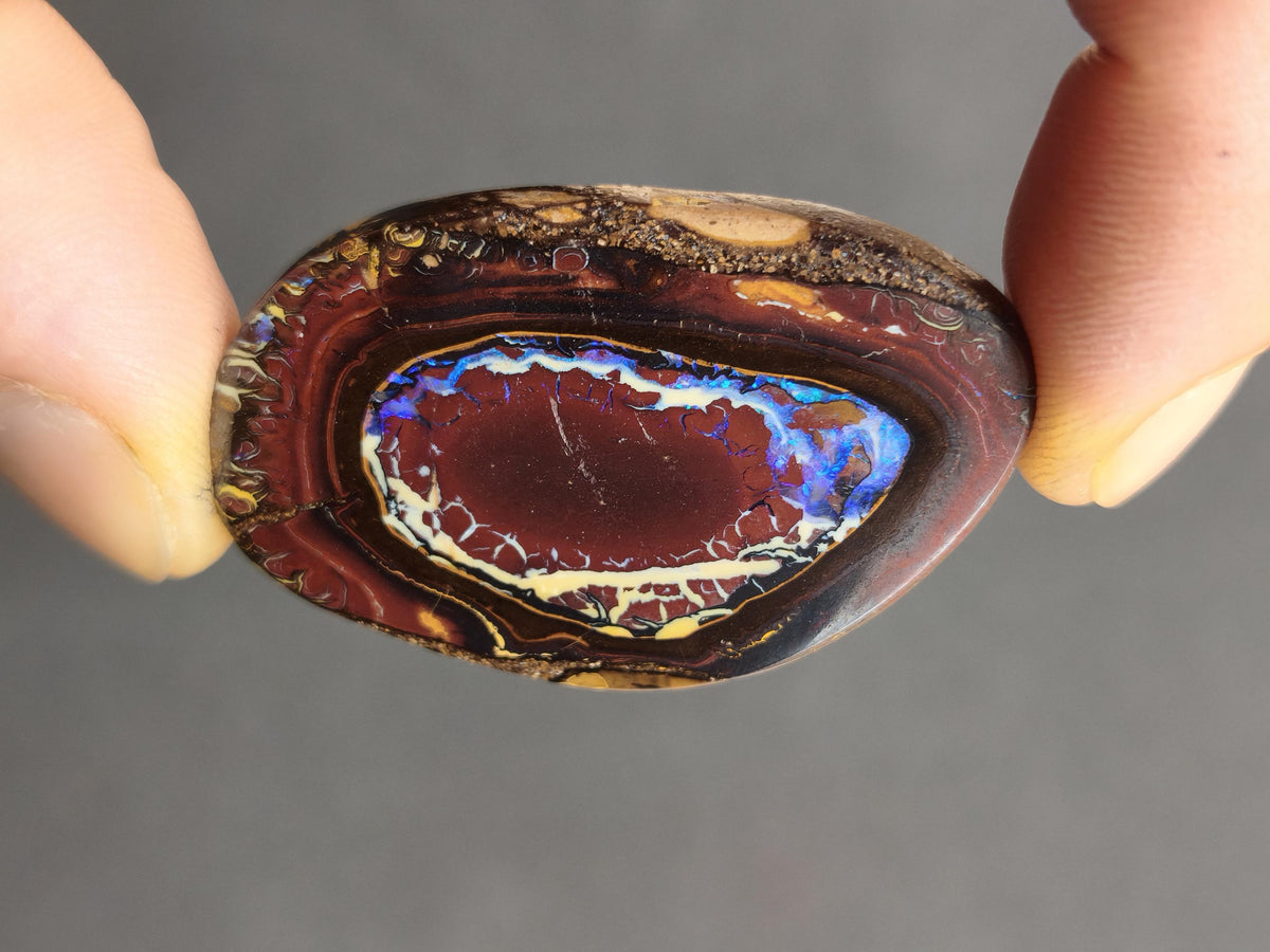 Boulder Opal Nuss AAA Sammlerstein Mineralien Kristalle Cabochon natürlich Heilstein Rarität Muster Australien Queensland
