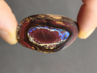 Boulder Opal Nuss AAA Sammlerstein Mineralien Kristalle Cabochon natürlich Heilstein Rarität Muster Australien Queensland