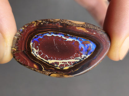 Boulder Opal Nuss AAA Sammlerstein Mineralien Kristalle Cabochon natürlich Heilstein Rarität Muster Australien Queensland