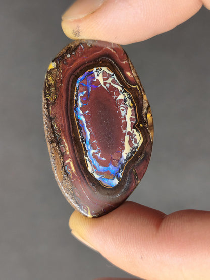Boulder Opal Nuss AAA Sammlerstein Mineralien Kristalle Cabochon natürlich Heilstein Rarität Muster Australien Queensland