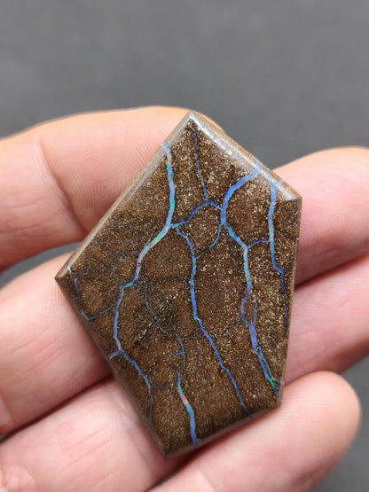 Boulder Opal AAA Sammlerstein Mineralien Kristalle Cabochon natürlich Heilstein Rarität Muster Australien Queensland