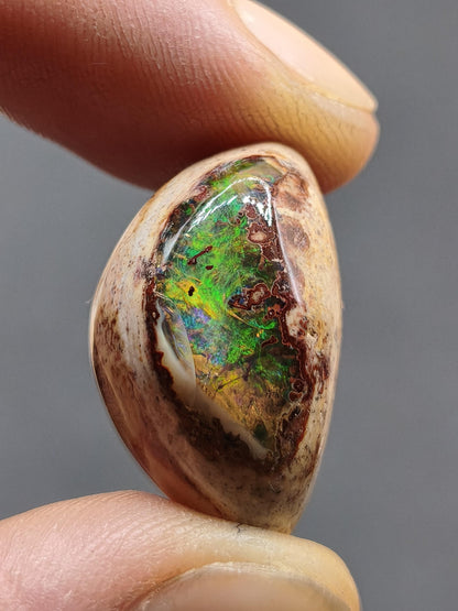 Feuer Opal Mexiko Cantera AAA Sammlerstein Mineralien Kristalle Kollektion Cabochon natürlich Heilstein Rarität Muster Selten Bunt Traumhaft