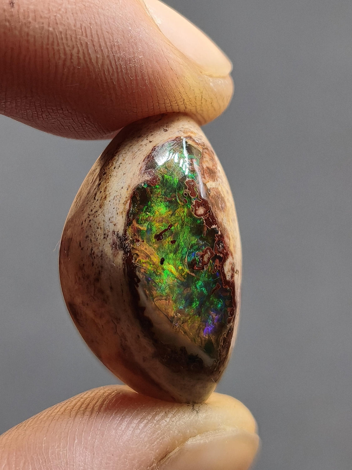 Feuer Opal Mexiko Cantera AAA Sammlerstein Mineralien Kristalle Kollektion Cabochon natürlich Heilstein Rarität Muster Selten Bunt Traumhaft