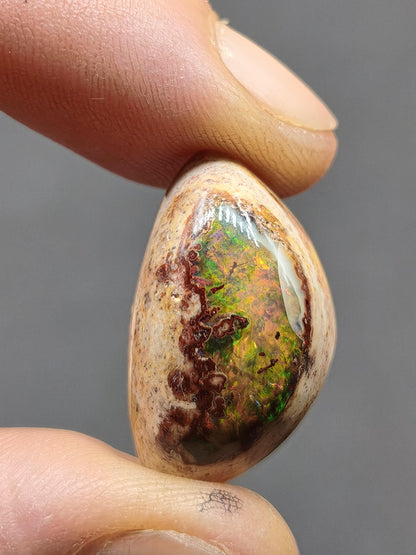 Feuer Opal Mexiko Cantera AAA Sammlerstein Mineralien Kristalle Kollektion Cabochon natürlich Heilstein Rarität Muster Selten Bunt Traumhaft