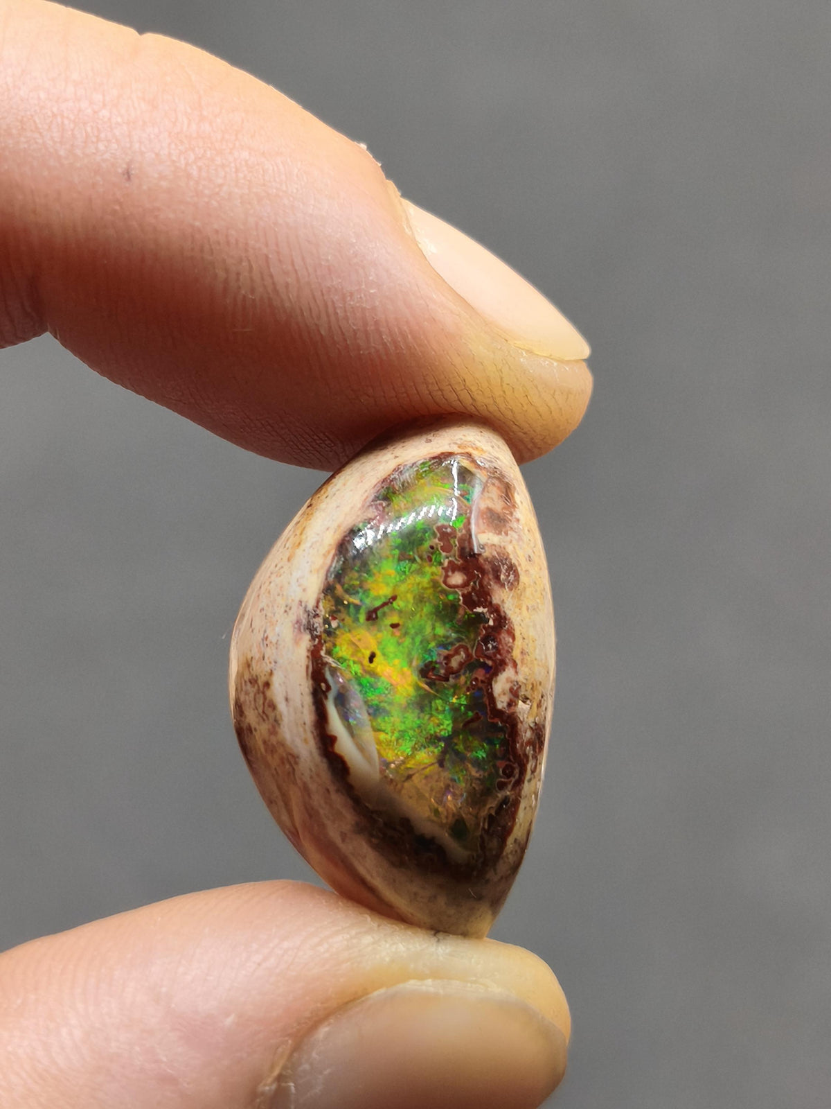 Feuer Opal Mexiko Cantera AAA Sammlerstein Mineralien Kristalle Kollektion Cabochon natürlich Heilstein Rarität Muster Selten Bunt Traumhaft