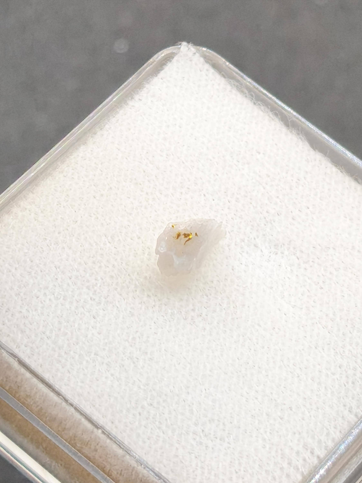 Gold auf Quarz Matrix Jilove (Tschechien) echt Kristall natürlich Sammler Mineral selten