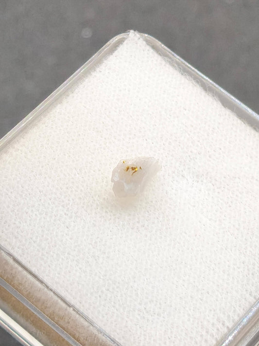 Gold auf Quarz Matrix Jilove (Tschechien) echt Kristall natürlich Sammler Mineral selten