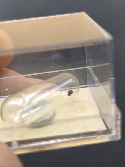 Ferrosaponit – Holotyp-Material | Typlokalität Sibirien Sammlerqualität Rarität roh Sammler Stufe Edelstein Deko Kristall Selten