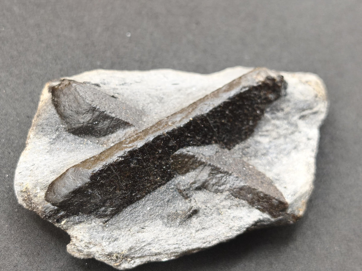 XL  STAUROLITE Kreuzstein X Roh Kristall Stufe Sammler Deko groß Energie Heilstein Schutz  Geschenk Haus Wohnung