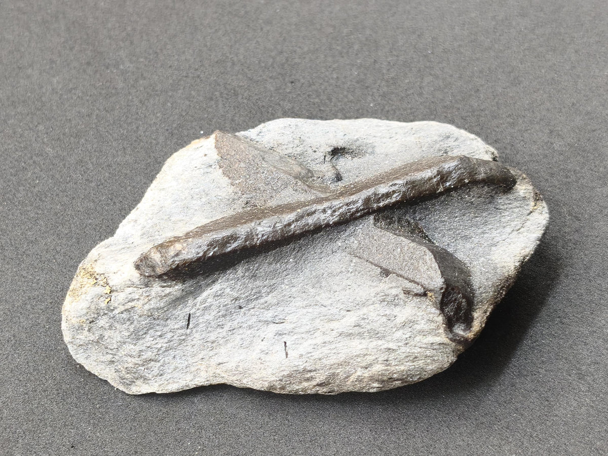 XL  STAUROLITE Kreuzstein X Roh Kristall Stufe Sammler Deko groß Energie Heilstein Schutz  Geschenk Haus Wohnung