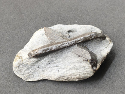 XL  STAUROLITE Kreuzstein X Roh Kristall Stufe Sammler Deko groß Energie Heilstein Schutz  Geschenk Haus Wohnung