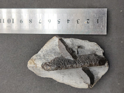 XL  STAUROLITE Kreuzstein X Roh Kristall Stufe Sammler Deko groß Energie Heilstein Schutz  Geschenk Haus Wohnung