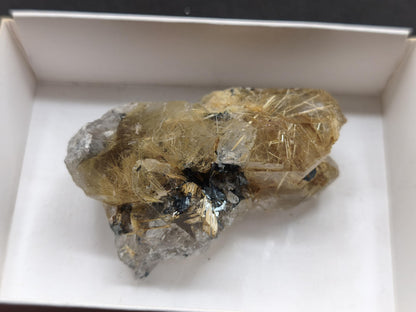 Rutilquarz gold roh Sammler Stufe Kristall Rarität ~ Edelstein Deko Heilstein Mineral Kollektion Energie Natur besonders Geschenk