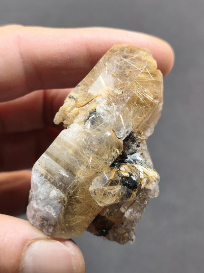 Rutilquarz gold roh Sammler Stufe Kristall Rarität ~ Edelstein Deko Heilstein Mineral Kollektion Energie Natur besonders Geschenk