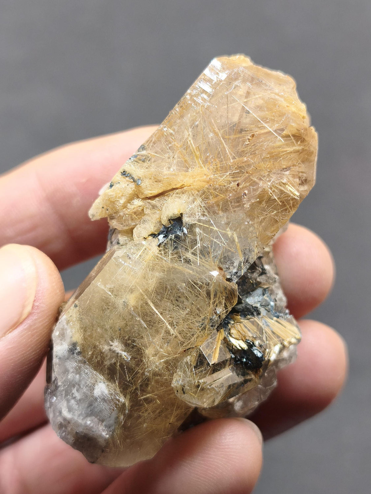 Rutilquarz gold roh Sammler Stufe Kristall Rarität ~ Edelstein Deko Heilstein Mineral Kollektion Energie Natur besonders Geschenk