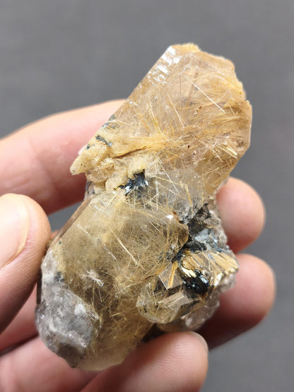 Rutilquarz gold roh Sammler Stufe Kristall Rarität ~ Edelstein Deko Heilstein Mineral Kollektion Energie Natur besonders Geschenk