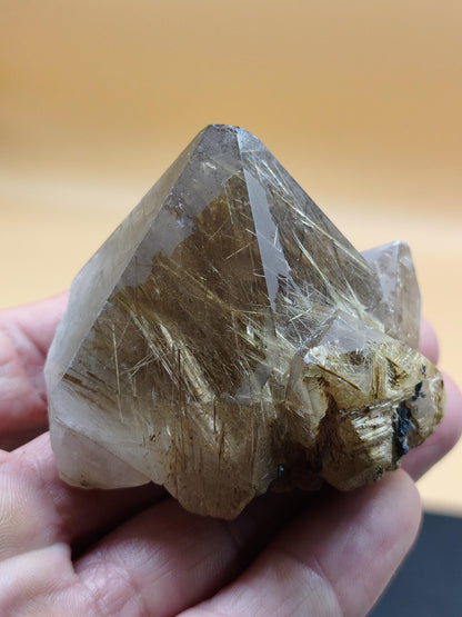 Rutilquarz gold roh Sammler Stufe Pyramide Kristall Rarität ~ Edelstein Deko Heilstein Mineral Kollektion Energie Natur besonders Geschenk