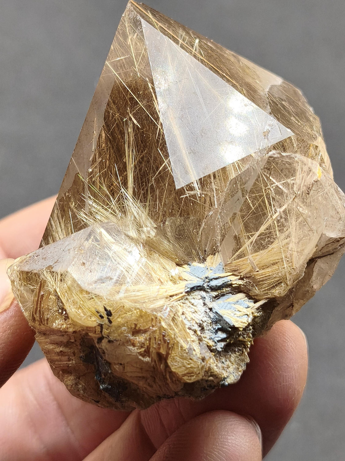 Rutilquarz gold roh Sammler Stufe Pyramide Kristall Rarität ~ Edelstein Deko Heilstein Mineral Kollektion Energie Natur besonders Geschenk