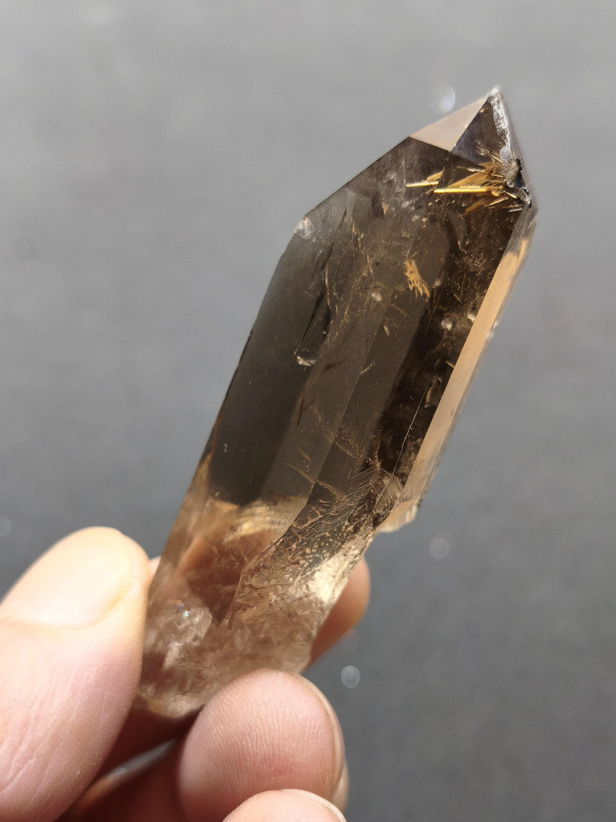 Rauchquarz mit Rutil gold roh Sammler Stufe Kristall Rarität ~ Edelstein Deko Heilstein Mineral Kollektion Energie Natur
