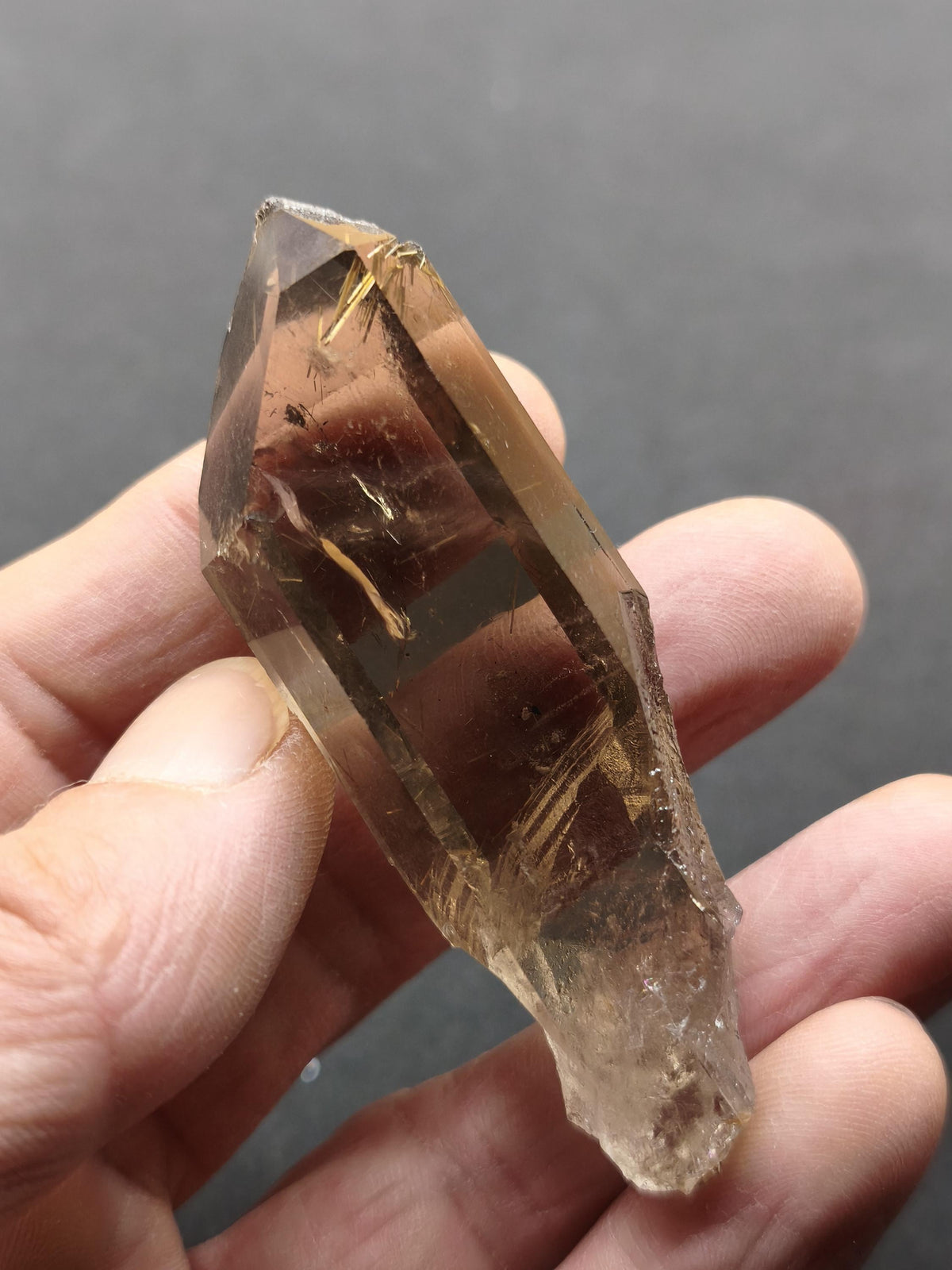 Rauchquarz mit Rutil gold roh Sammler Stufe Kristall Rarität ~ Edelstein Deko Heilstein Mineral Kollektion Energie Natur