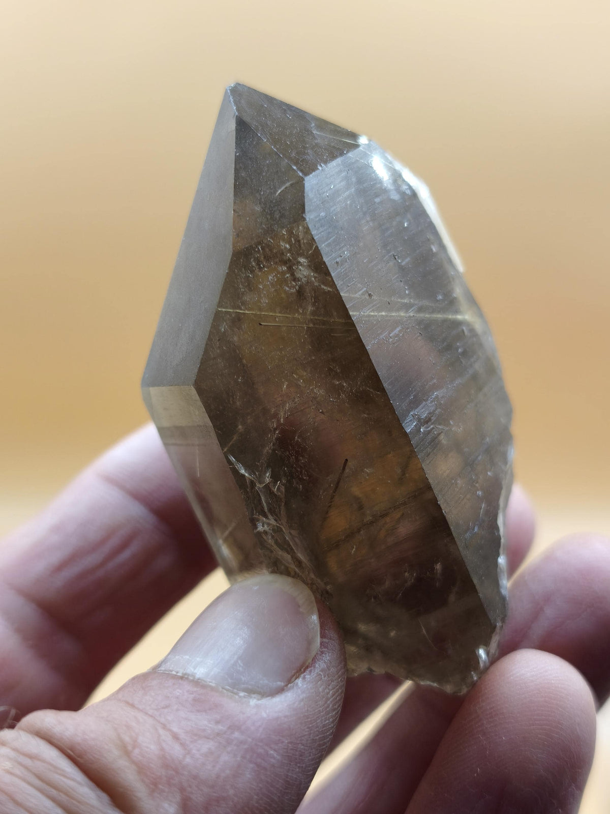 Rauchquarz mit Rutil gold roh Sammler Stufe Kristall Rarität ~ Edelstein Deko Heilstein Mineral Kollektion Energie Natur