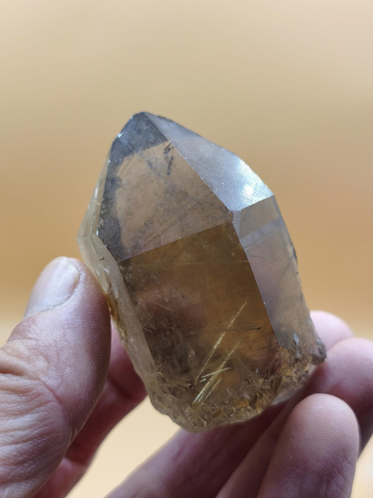 Rauchquarz mit Rutil gold roh Sammler Stufe Kristall Rarität ~ Edelstein Deko Heilstein Mineral Kollektion Energie Natur