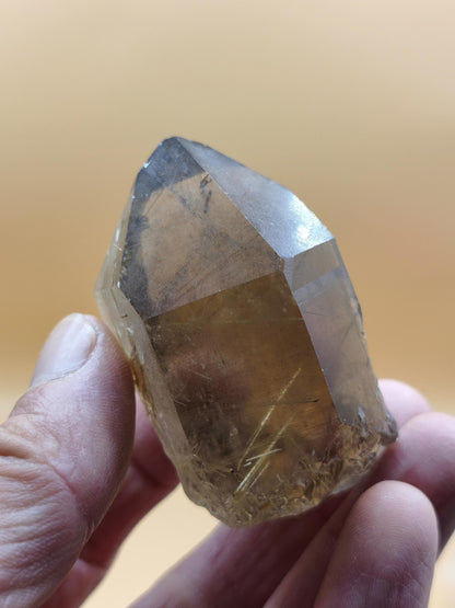 Rauchquarz mit Rutil gold roh Sammler Stufe Kristall Rarität ~ Edelstein Deko Heilstein Mineral Kollektion Energie Natur