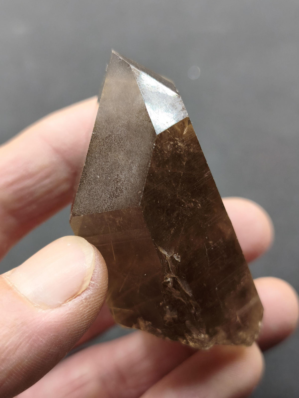 Rauchquarz mit Rutil gold roh Sammler Stufe Kristall Rarität ~ Edelstein Deko Heilstein Mineral Kollektion Energie Natur