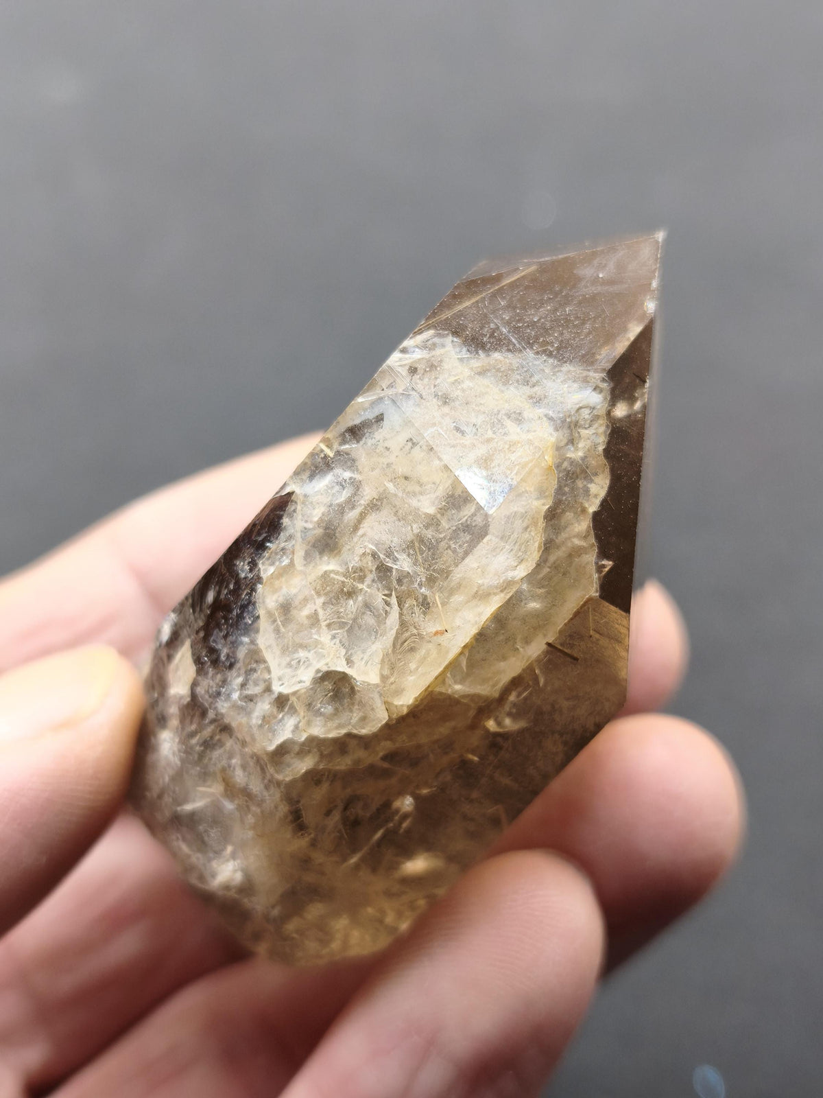 Rauchquarz mit Rutil gold roh Sammler Stufe Kristall Rarität ~ Edelstein Deko Heilstein Mineral Kollektion Energie Natur