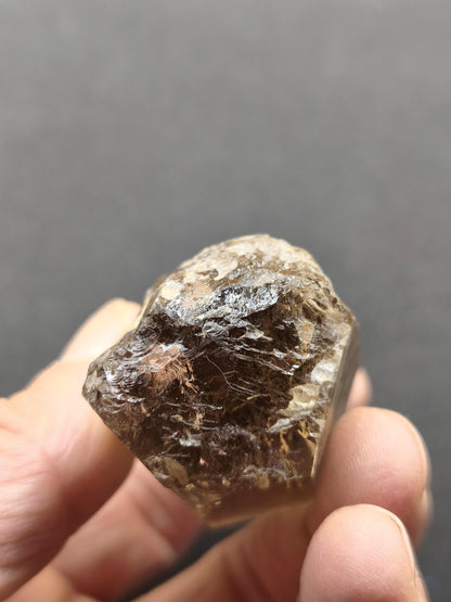 Rauchquarz mit Rutil gold roh Sammler Stufe Kristall Rarität ~ Edelstein Deko Heilstein Mineral Kollektion Energie Natur