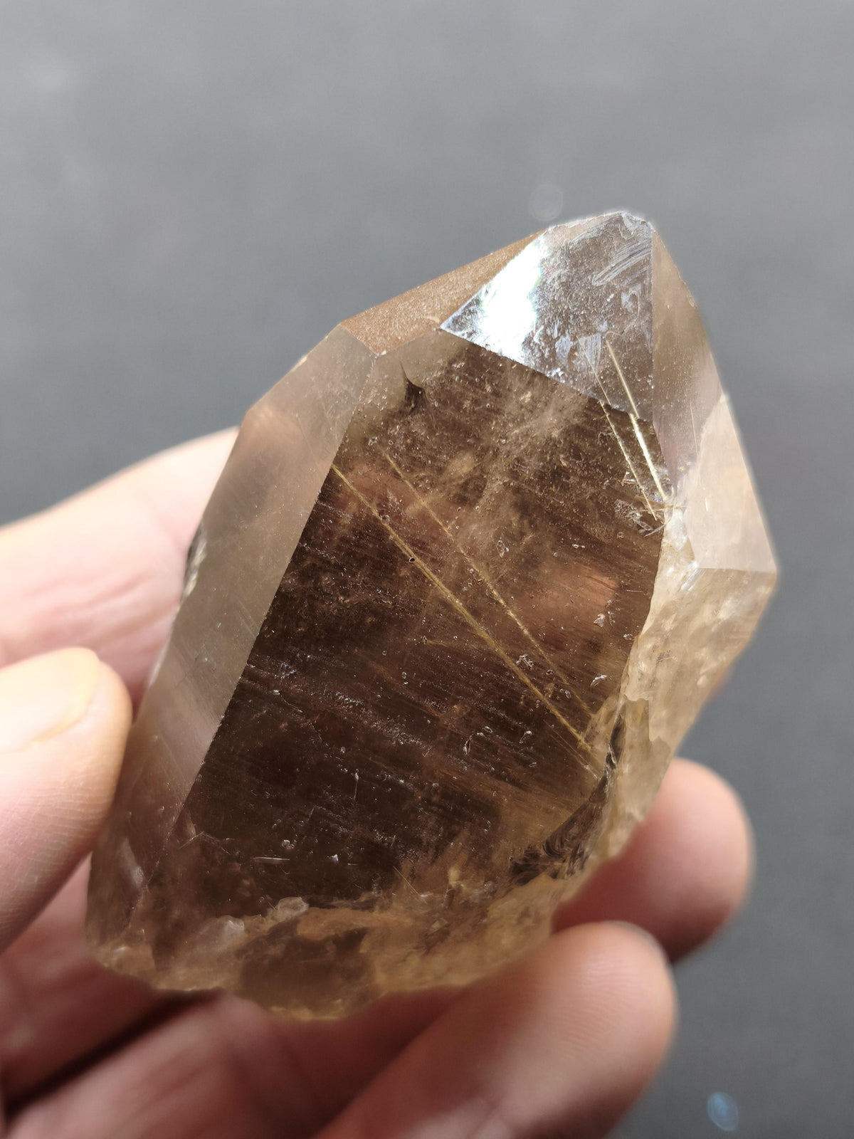 Rauchquarz mit Rutil gold roh Sammler Stufe Kristall Rarität ~ Edelstein Deko Heilstein Mineral Kollektion Energie Natur