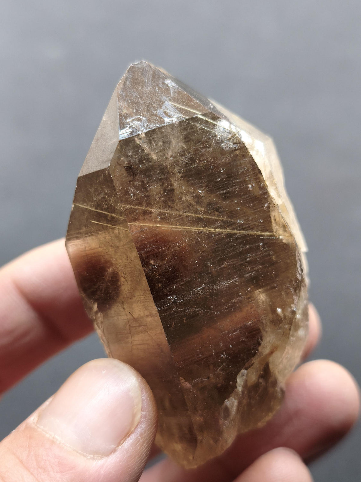 Rauchquarz mit Rutil gold roh Sammler Stufe Kristall Rarität ~ Edelstein Deko Heilstein Mineral Kollektion Energie Natur