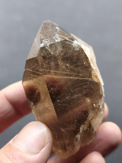 Rauchquarz mit Rutil gold roh Sammler Stufe Kristall Rarität ~ Edelstein Deko Heilstein Mineral Kollektion Energie Natur