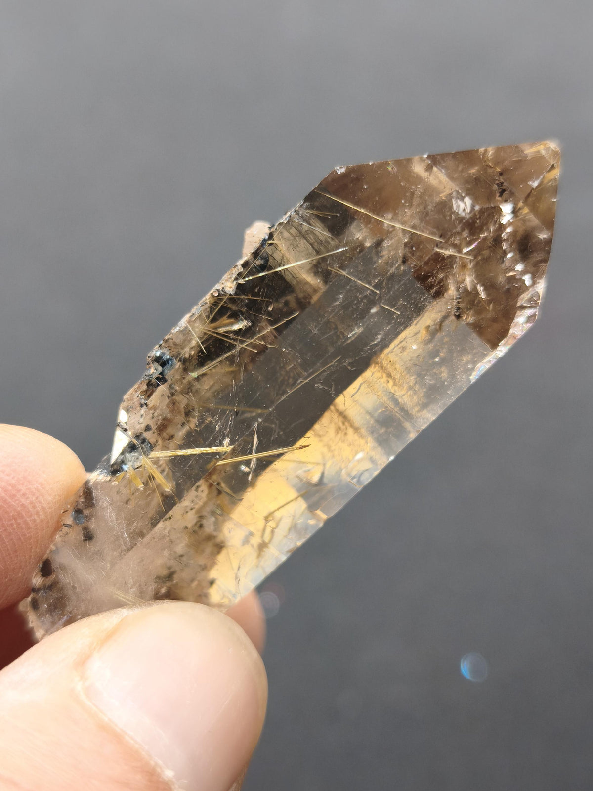 Rauchquarz mit Rutil gold roh Sammler Stufe Kristall Rarität ~ Edelstein Deko Heilstein Mineral Kollektion Energie Natur