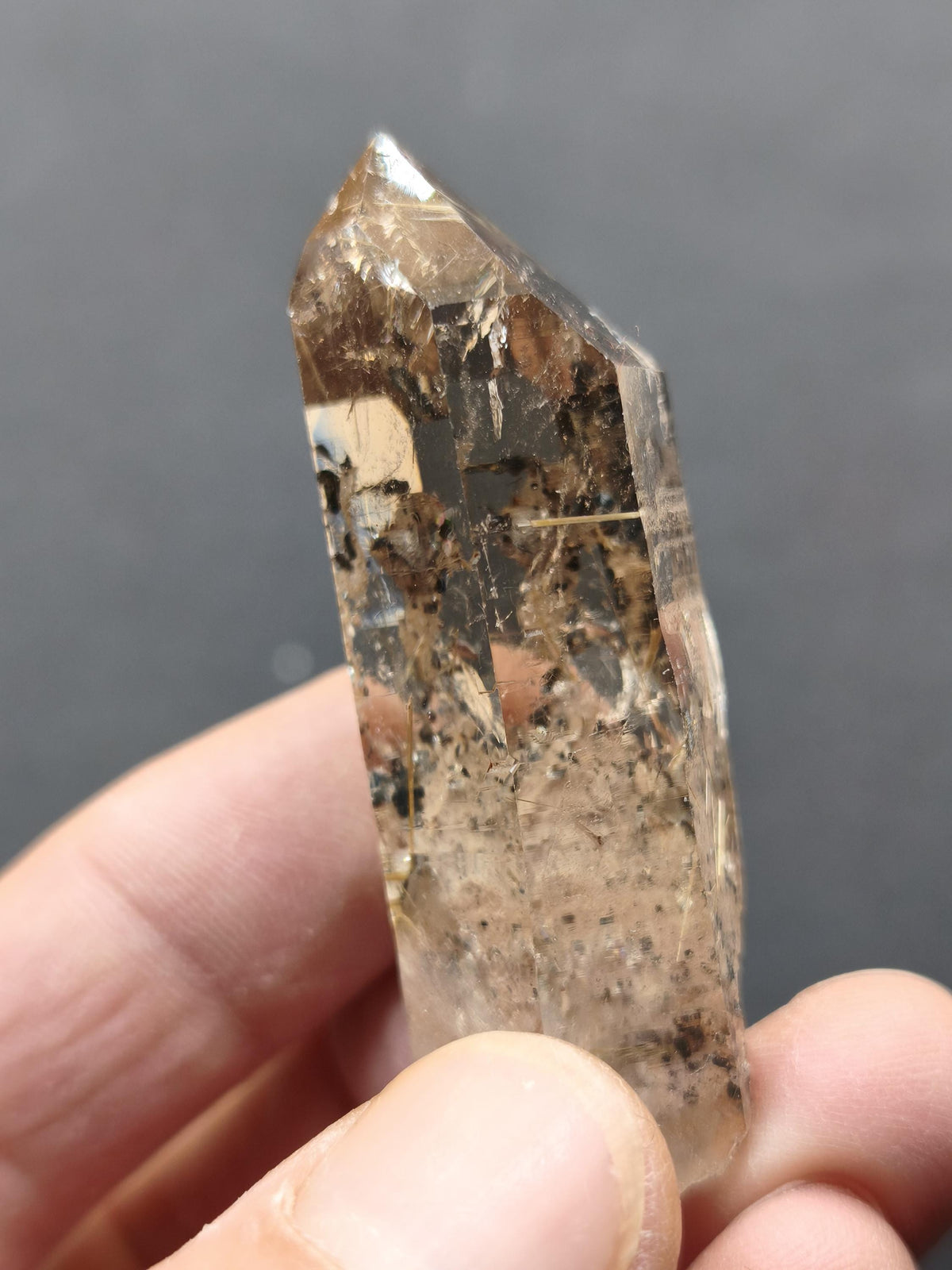 Rauchquarz mit Rutil gold roh Sammler Stufe Kristall Rarität ~ Edelstein Deko Heilstein Mineral Kollektion Energie Natur